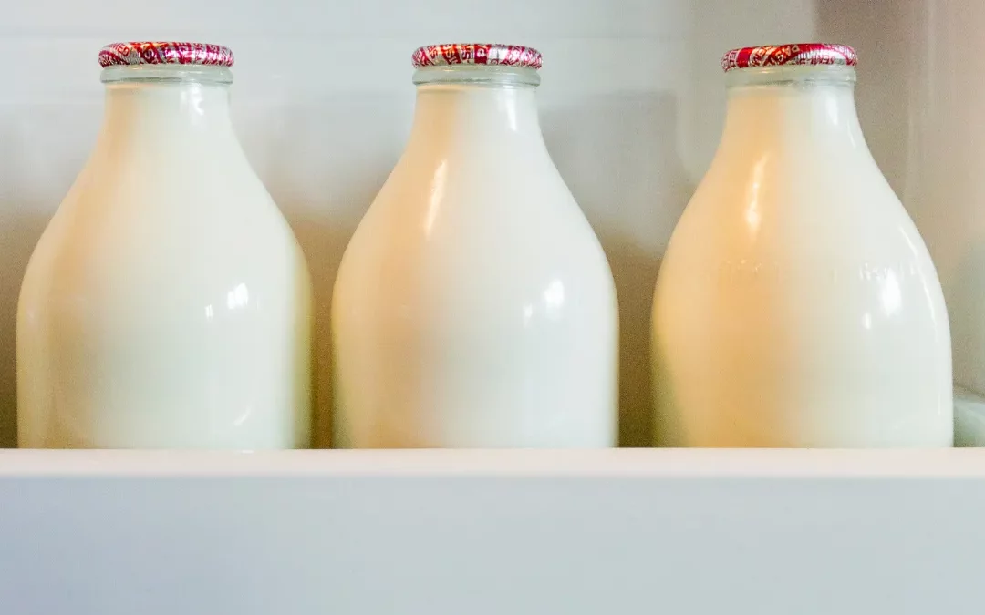 Tres botellas de leche en la nevera. Conservación de la leche materna en verano